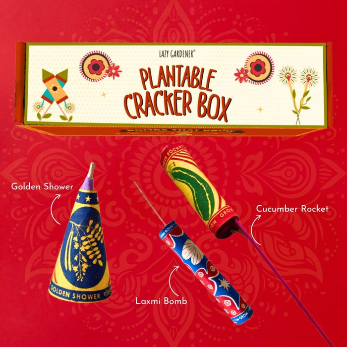 Plantable Seed Cracker Box - Set of 3