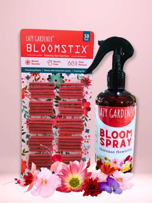Summer Flower Power Pack