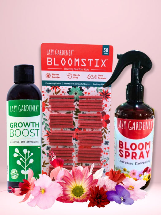Summer Flower Power Pack