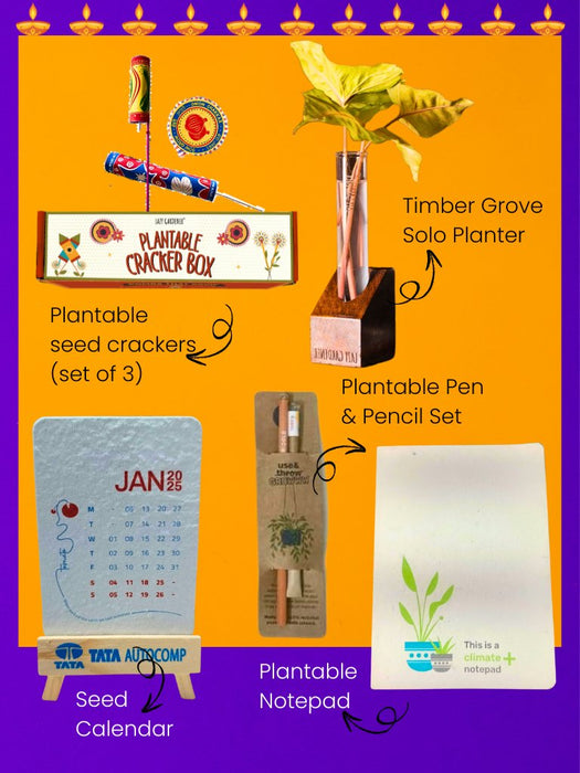 Plant & Pen Gift Box