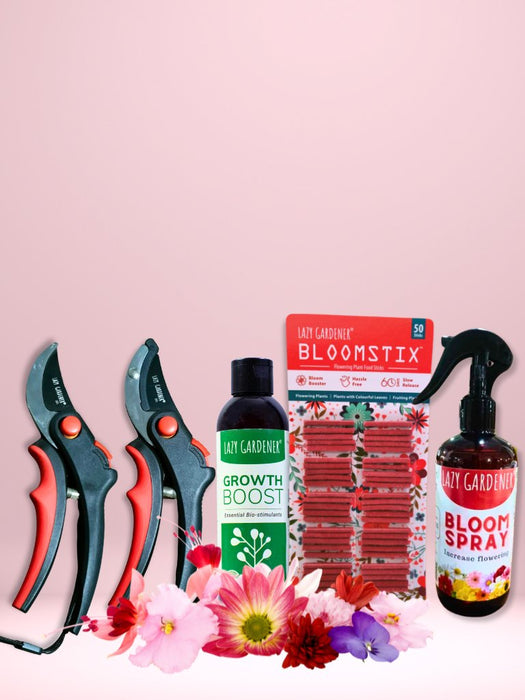 Summer Flower Power Pack