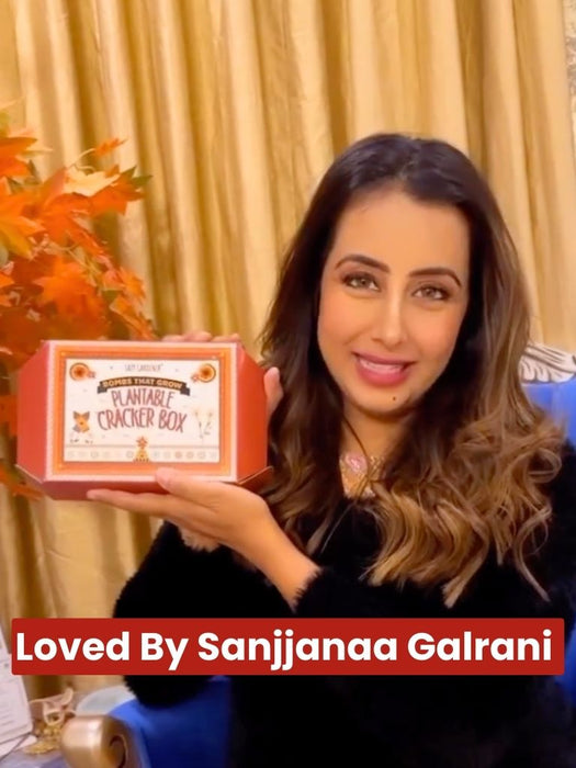 Plantable Seed Cracker Box - Unique Diwali Gift