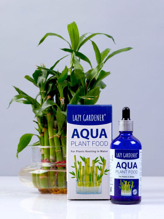 Aqua Plant Food - Fertilizer for plants growing in water