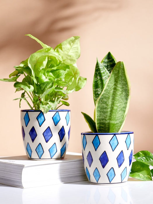 Primus - Diamond - Set of 2 - Ceramic Pots (Without Plant)