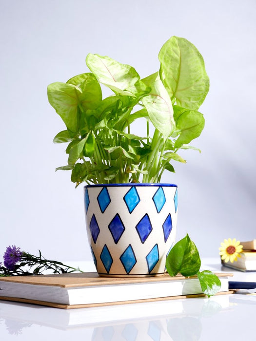 Primus - Diamond - Set of 2 - Ceramic Pots (Without Plant)