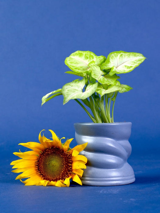 Whisper - Gray - Set of 2 - Ceramic Pots (Without Plant)