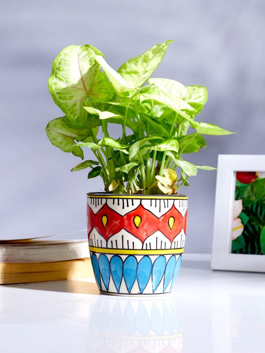 Primus - Mandala - Set of 2 - Ceramic Pots