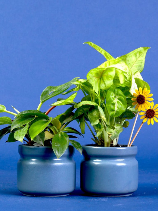 Aura - Gray - Set of 2 - Ceramic Pots (Without Plant)