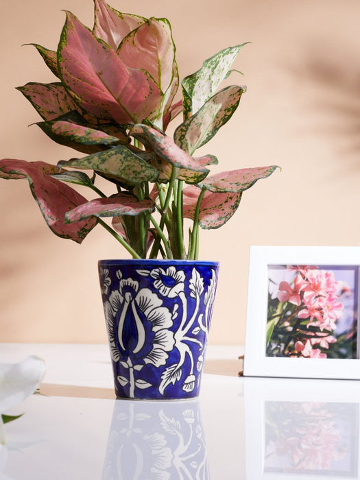 Essence - Mughal - Set of 1 - Ceramic Pot (Without Plant)