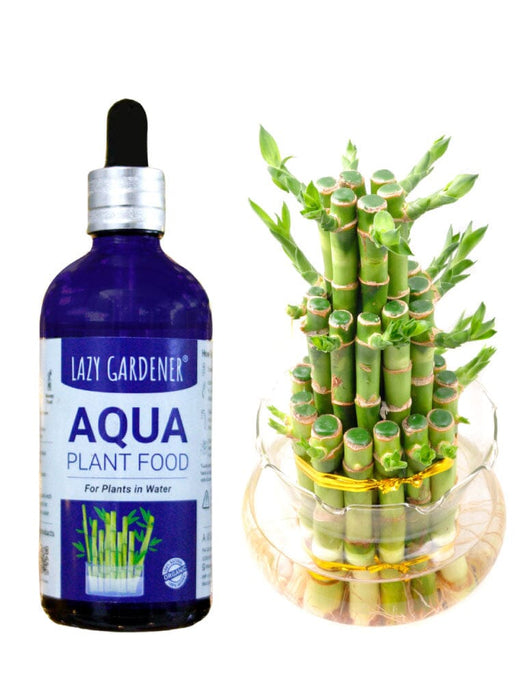 Aqua Plant Food (For Plants Rooting in Water) LazyGardener