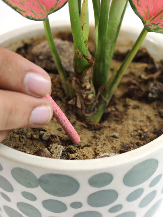 Bloomstix - Flowering Plant Food Sticks (Fertilizer Sticks) Plant food sticks LazyGardener 