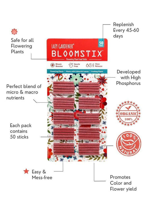 Summer Flower Power Pack