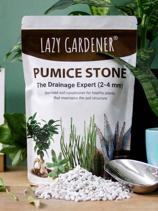 Drainage Expert: Pumice Stone for Plants Pumice stone LazyGardener