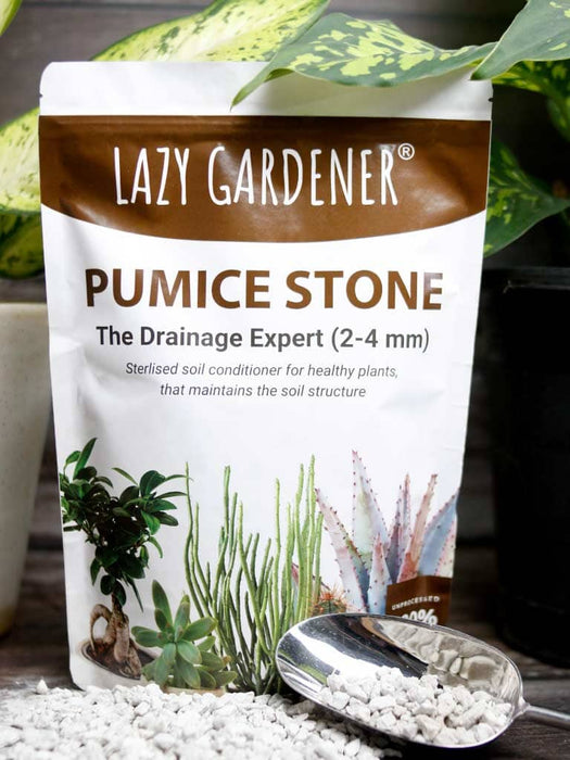 Drainage Expert: Pumice Stone for Plants Pumice stone LazyGardener