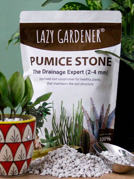 Drainage Expert: Pumice Stone for Plants Pumice stone LazyGardener
