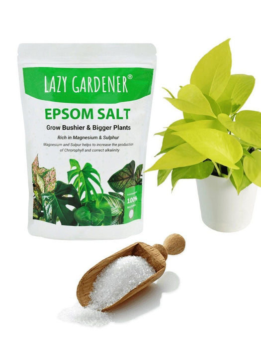 Epsom Salt (Magnesium Sulphate) Fertilizer for Plants Epsom salt LazyGardener