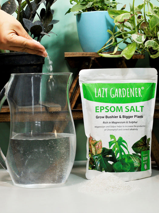 Epsom Salt (Magnesium Sulphate) Fertilizer for Plants Epsom salt LazyGardener 