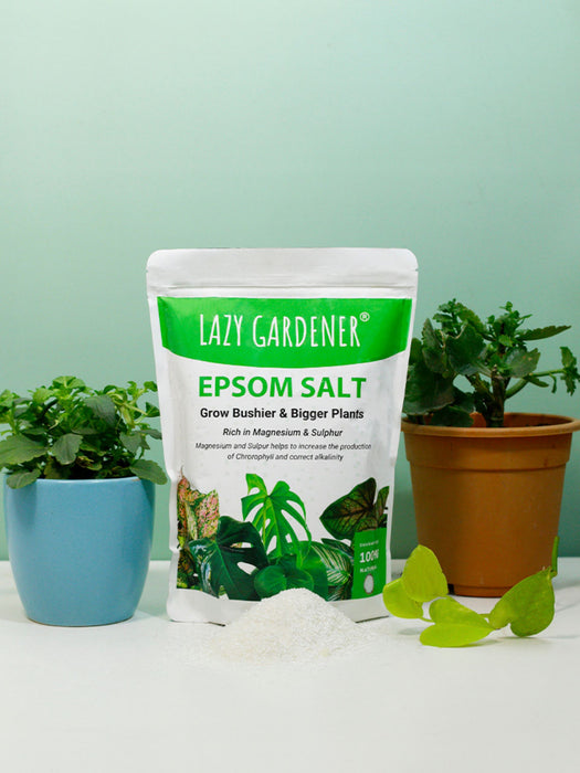 Epsom Salt (Magnesium Sulphate) Fertilizer for Plants Epsom salt LazyGardener 