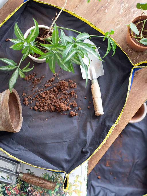 Gardening Mat LazyGardener Combo Pack