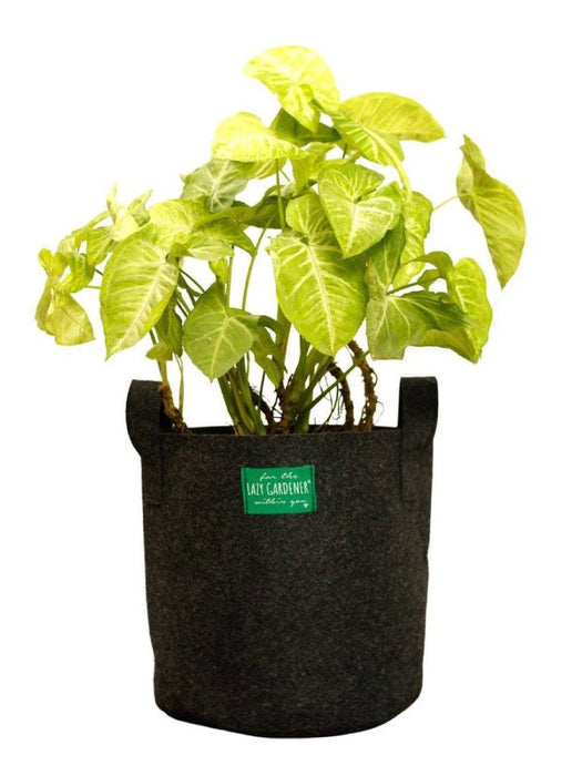 Fabric Grow Bags for Plants - Size 10 x 10 inches