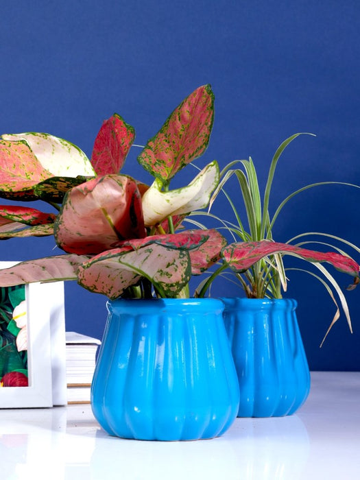 Enigma - Azure Blue - Set of 1 - Ceramic Pot (Without Plant)