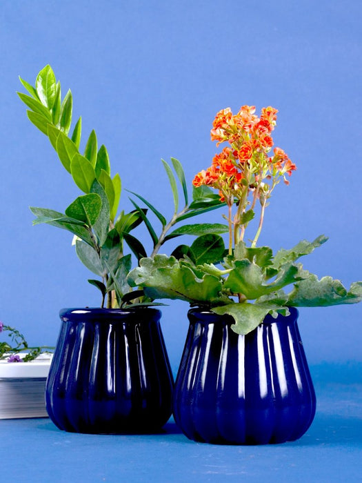 Enigma - Navy Blue - Set of 1 - Ceramic Pot (Without Plant)