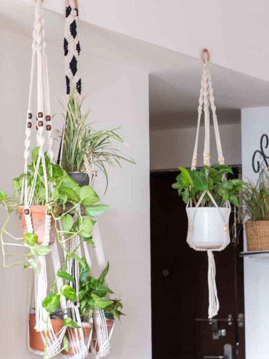 Macramé Plant Hanger Combo 2 LazyGardener