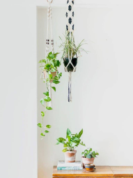 Macramé Plant Hanger Combo 2 LazyGardener Brown