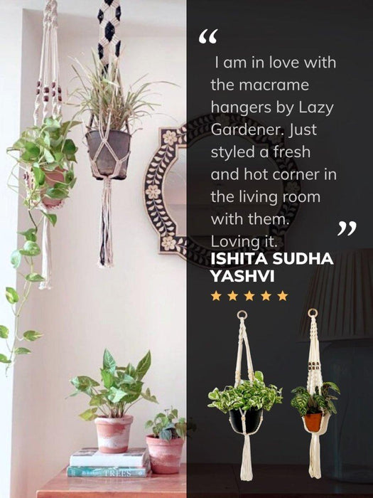 Macramé Plant Hanger Combo 4 LazyGardener