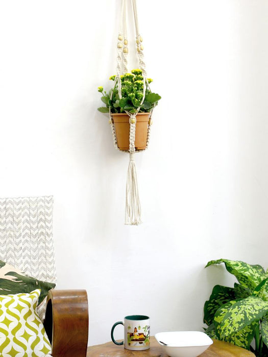 Macramé Plant Hanger Combo 4 LazyGardener