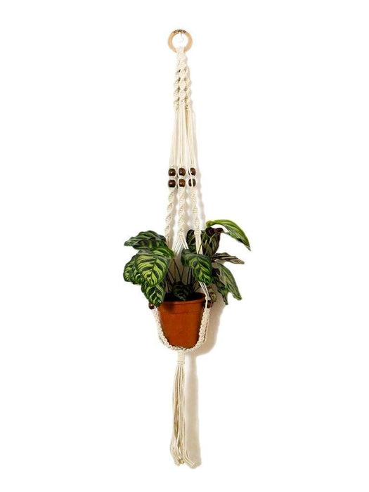 Macramé Plant Hanger Combo 4 LazyGardener
