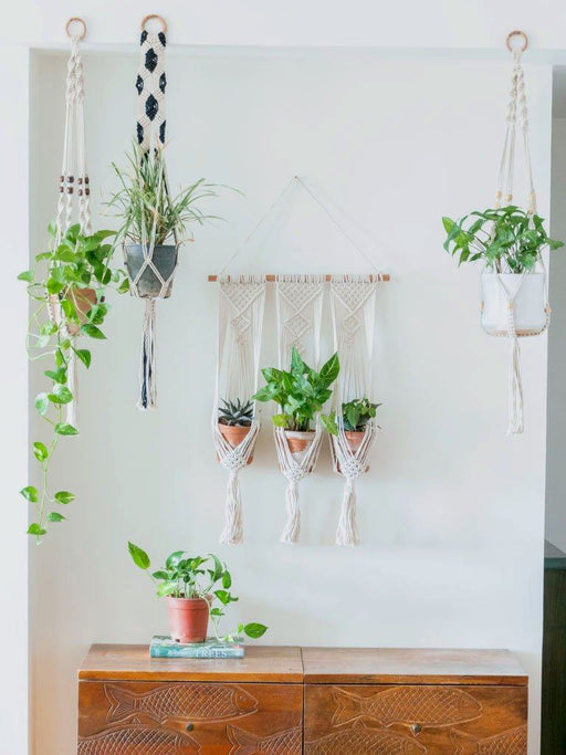 Macramé Plant Hanger Combo 4 LazyGardener