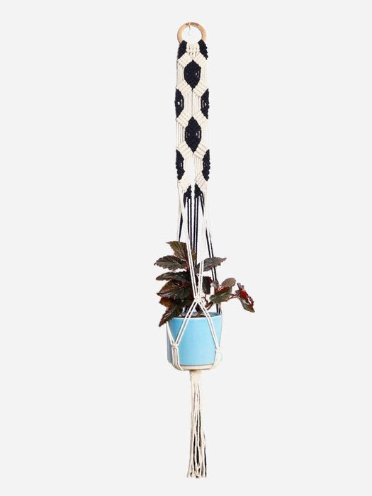 Macramé Plant Hanger Combo 4 LazyGardener