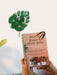 Monstera Leaf - Wooden Key Hanger LazyGardener Key Hanger + Book on Gardening 