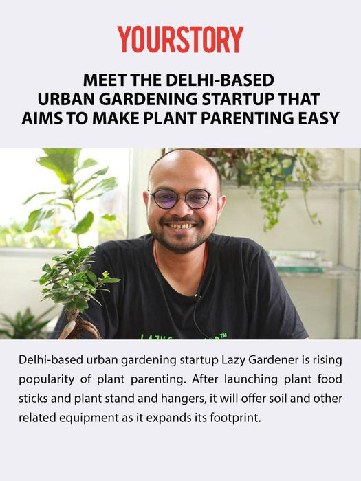 Banana Peel Powder Banana peel powder LazyGardener