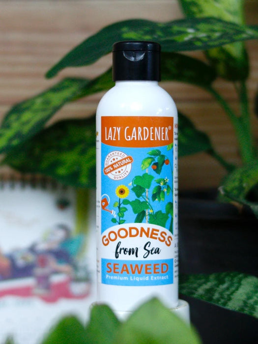 Organic Seaweed Liquid Fertilizer LazyGardener