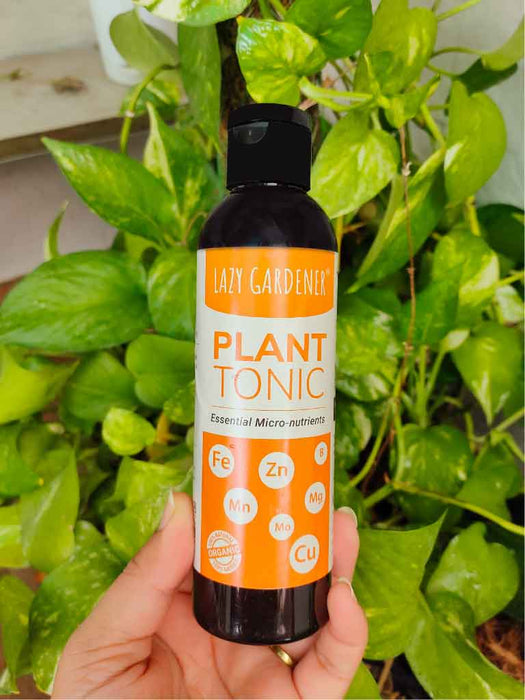 Plant Care Kit (3 in 1 Specialized Liquids Kit) Liquid Plant Fertilizers LazyGardener