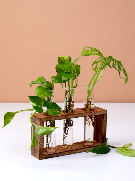 Timber Grove Elegant Trio - Test Tube Planter