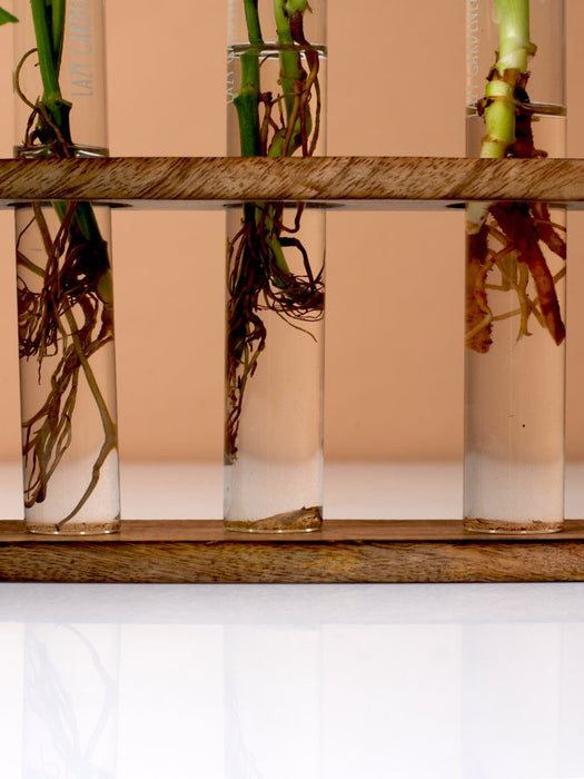 Timber Grove Elegant Trio - Test Tube Planter