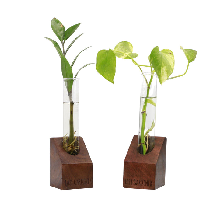 Propagation Station Mini - Sheesham wood Wooden single test tube planter LazyGardener 2 