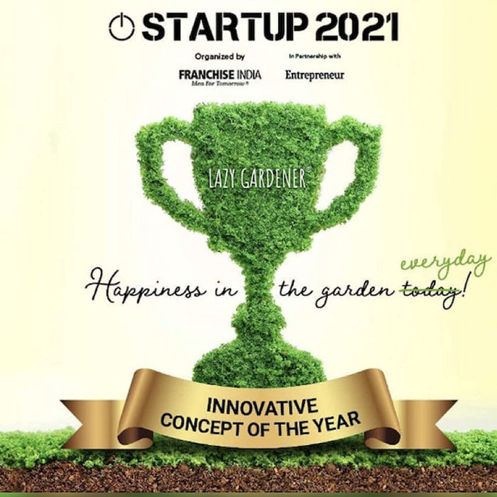 Secret Garden DIY Kit Grow Kit LazyGardener