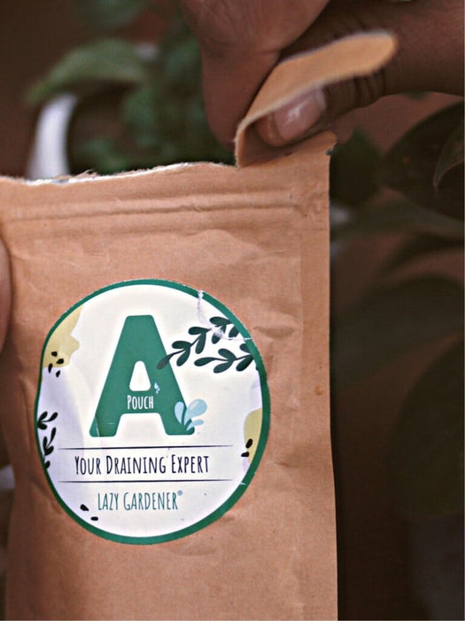 Secret Garden DIY Kit Grow Kit LazyGardener