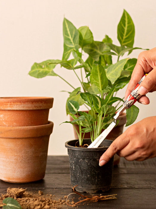 Stainless Steel Khurpi with Ceramic Handle Khurpi LazyGardener