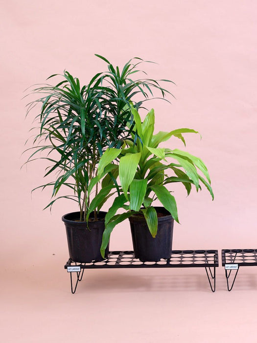 Value Metal Plant Stands - Black
