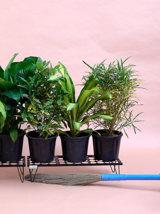 Value Metal Plant Stands - Black