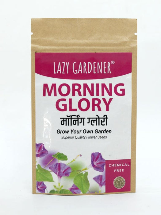 Summer Flowers Grow Kit (Zinnia, Morning Glory, Sunflower) LazyGardener