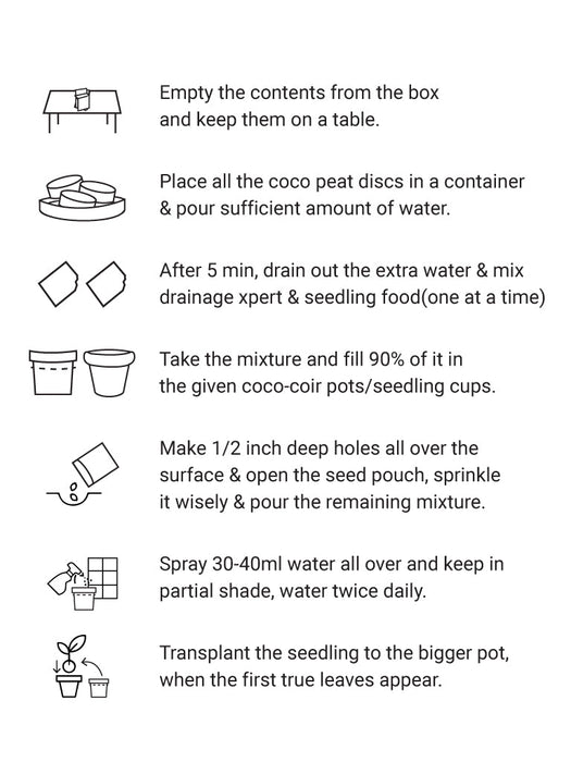 Summer Flowers Grow Kit (Zinnia, Morning Glory, Sunflower) LazyGardener
