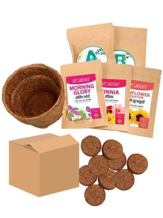 Summer Flowers Grow Kit (Zinnia, Morning Glory, Sunflower) LazyGardener