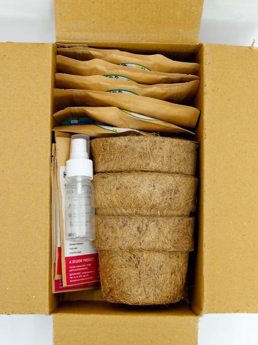 Summer Flowers Grow Kit (Zinnia, Morning Glory, Sunflower) LazyGardener