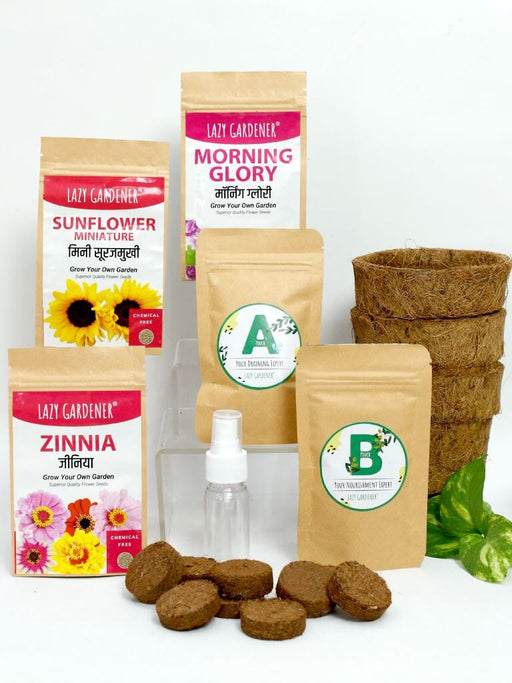 Summer Flowers Grow Kit (Zinnia, Morning Glory, Sunflower) LazyGardener